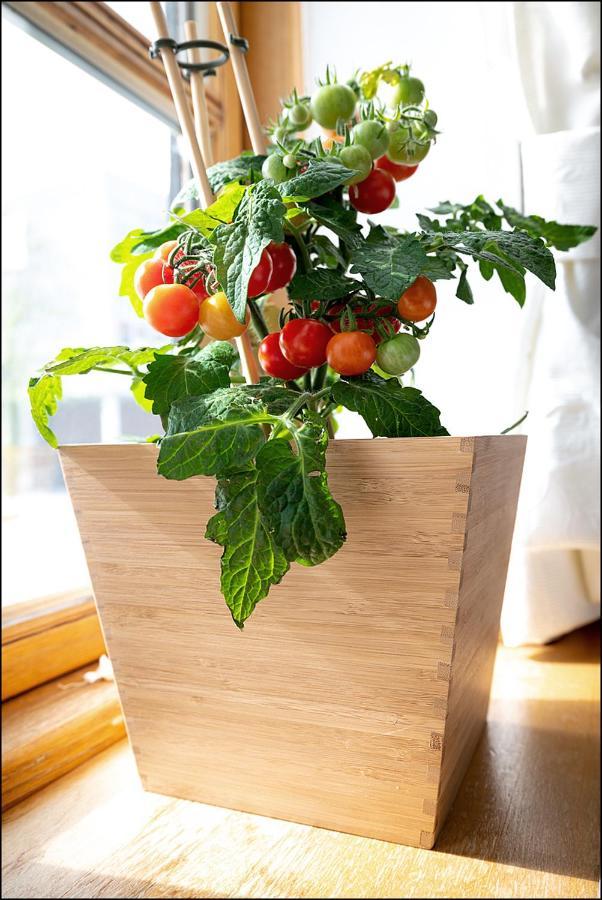 Markt Eins Gaestezimmer Schoppenstedt Экстерьер фото